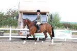 SBM_01494