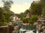 Newcastle Jesmond Dene 3
