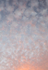 AD1132