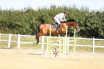 SBM_008086