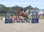 BPP_2211