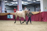 SBM_05068