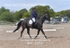 BPP_6555