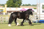 SBM_10334