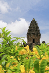 Tower at Bakong Temple, Cambodia