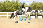 SBM_001940