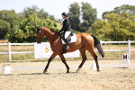 SBM_009441