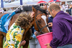 270626-Race 6-Hallo Spaceboy-5953