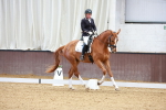 SBM_001367