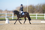 SBM_004337