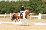 SBM_001585