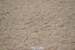 230720A-105314-02260