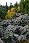 3HPhotography10-6-24_RMNP_0165_