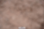240505A-100840-04430