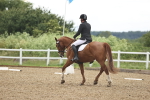 SBM_000894