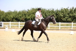 SBM_003607