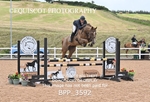 BPP_3592