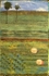 The Colours of Thailand - Green Ricefields