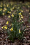 21Mar2013: Photo 80