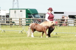 SBM_01951