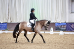 SBM_013259