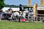 SBM_17543