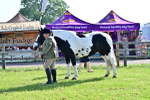 SBM_11438