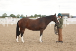 SBM_07655