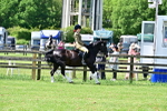 SBM_03825