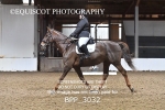 BPP_3032