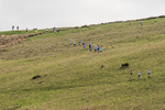 Latterbarrow-108