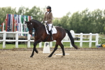 SBM_002585