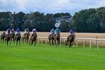 280826-Race 1-Hatamoto-4156