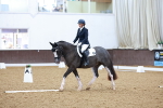 SBM_000660