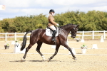 SBM_003595