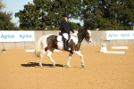 SBM_16448