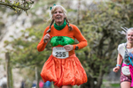 Dovedale Dash-2035