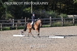 BPP_8454