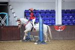 SBM_000225