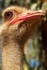 I'm watching you