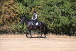 WJ6_6745