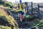 Langdale -995