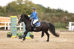 SBM_04284