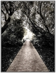 A_Way_Out