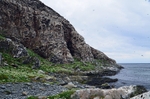 Hornøya, Barents Sea, Troms og Finnmark, Norway