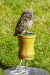0628 IMG_6631