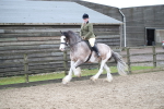 SBM_007983