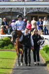 160525-Race 5-The Man-7063