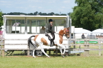 SBM_17575