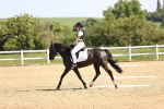SBM_008178